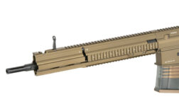EC-204 G28 DMR AEG con ETU - E&C - Imagen 24