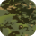 Multicam Tropic