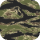 Tiger Stripe