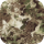 Phantomleaf Wasp Z1B