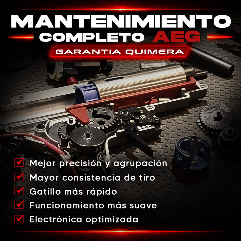 Mantenimiento Completo AEG