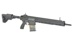EC-204 G28 DMR AEG con ETU - E&C - Imagen 3