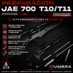 Preparación JAE 700 T10 y T11 - Quimera Customs