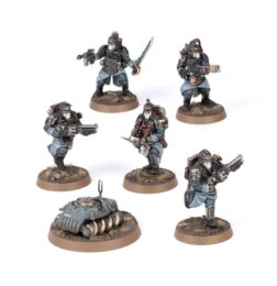 Alternative view of Ingenieros de Combate de Krieg - Astra Militarum