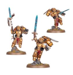 Alternative view of Sanguinary Guard - Blood Angels