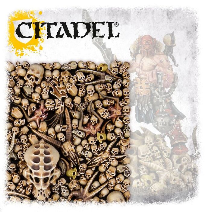 Citadel Skulls - Imagen 3