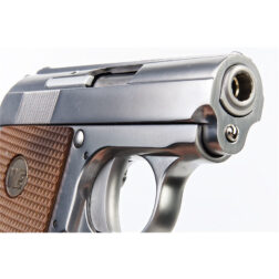 CT25 1908 GBB WE Tech. - Silver - Imagen 6