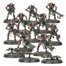 Alternative view of Necrons: Guerreros 2020