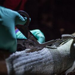 Raptor Rescue Leatherman - Negra - Imagen 6