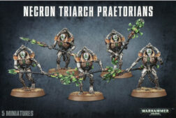 Necrons: Pretorianos De La Triarca / Necroguardias