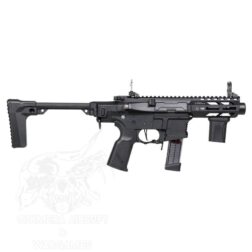 Alternative view of ARP-9 3.0 G&G - Negro