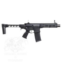 Alternative view of FAR 556 G&G - Negro