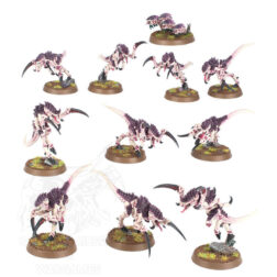 Alternative view of Hormagaunts - Tyranids