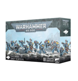 Cazadores Grises - Space Wolves
