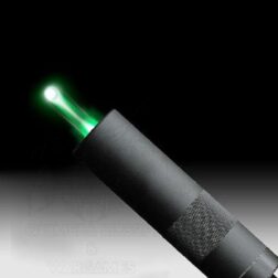 Alternative view of 0.25gr Bio Tracer 4000bbs Raccoon